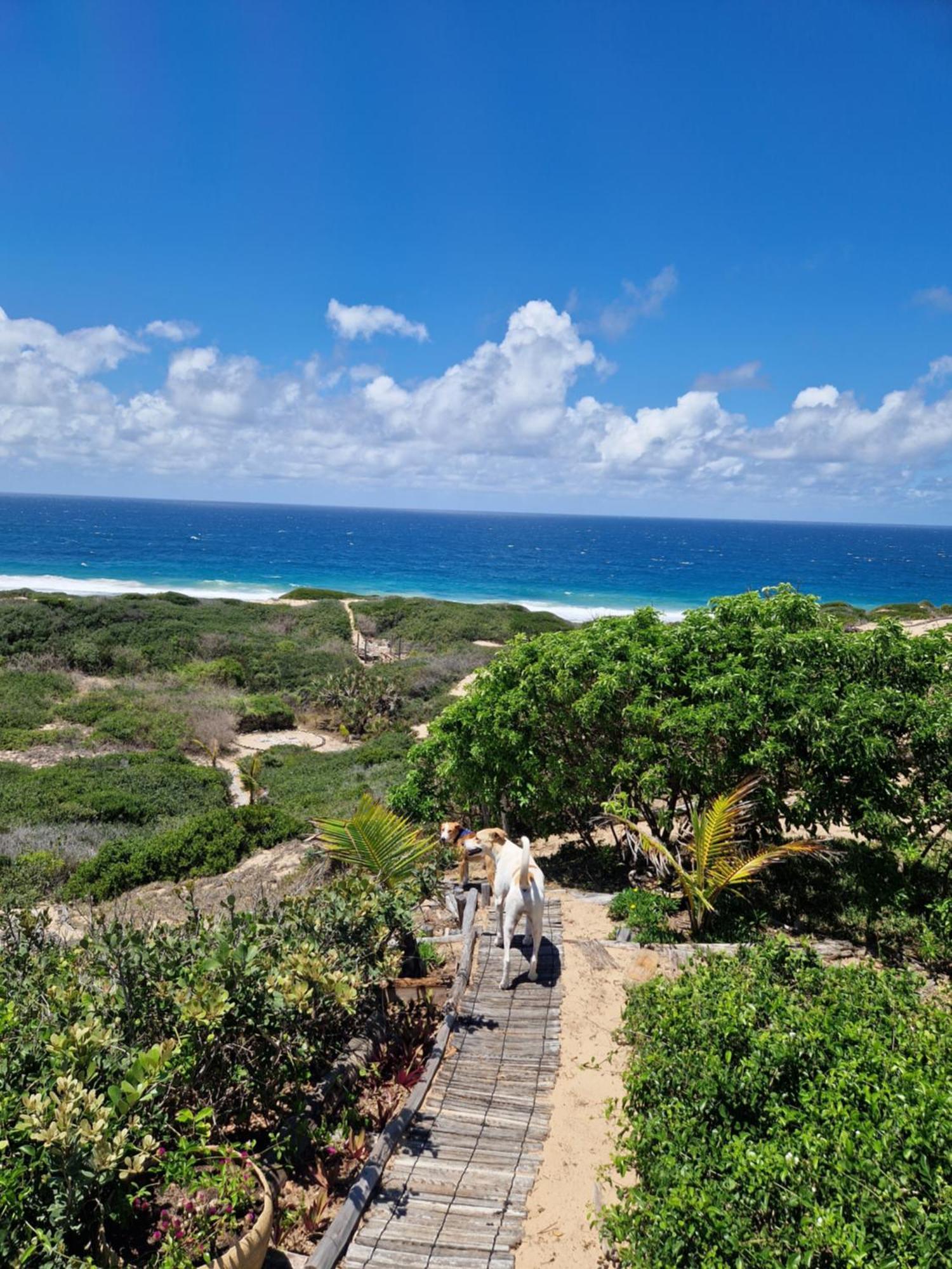 אינהמבאנה Mar-Me-Quer, Eco Beach Retreat מראה חיצוני תמונה