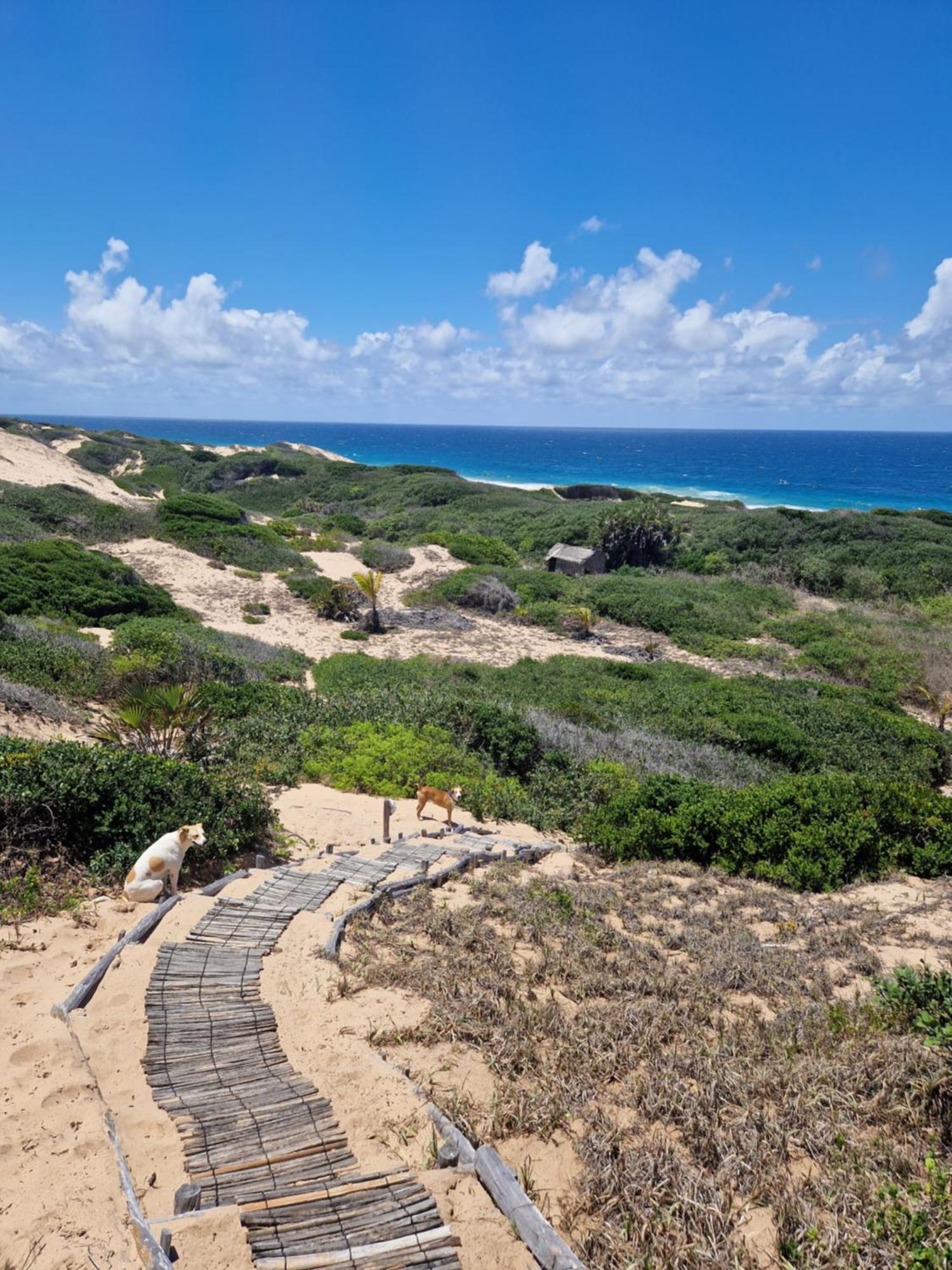 אינהמבאנה Mar-Me-Quer, Eco Beach Retreat מראה חיצוני תמונה