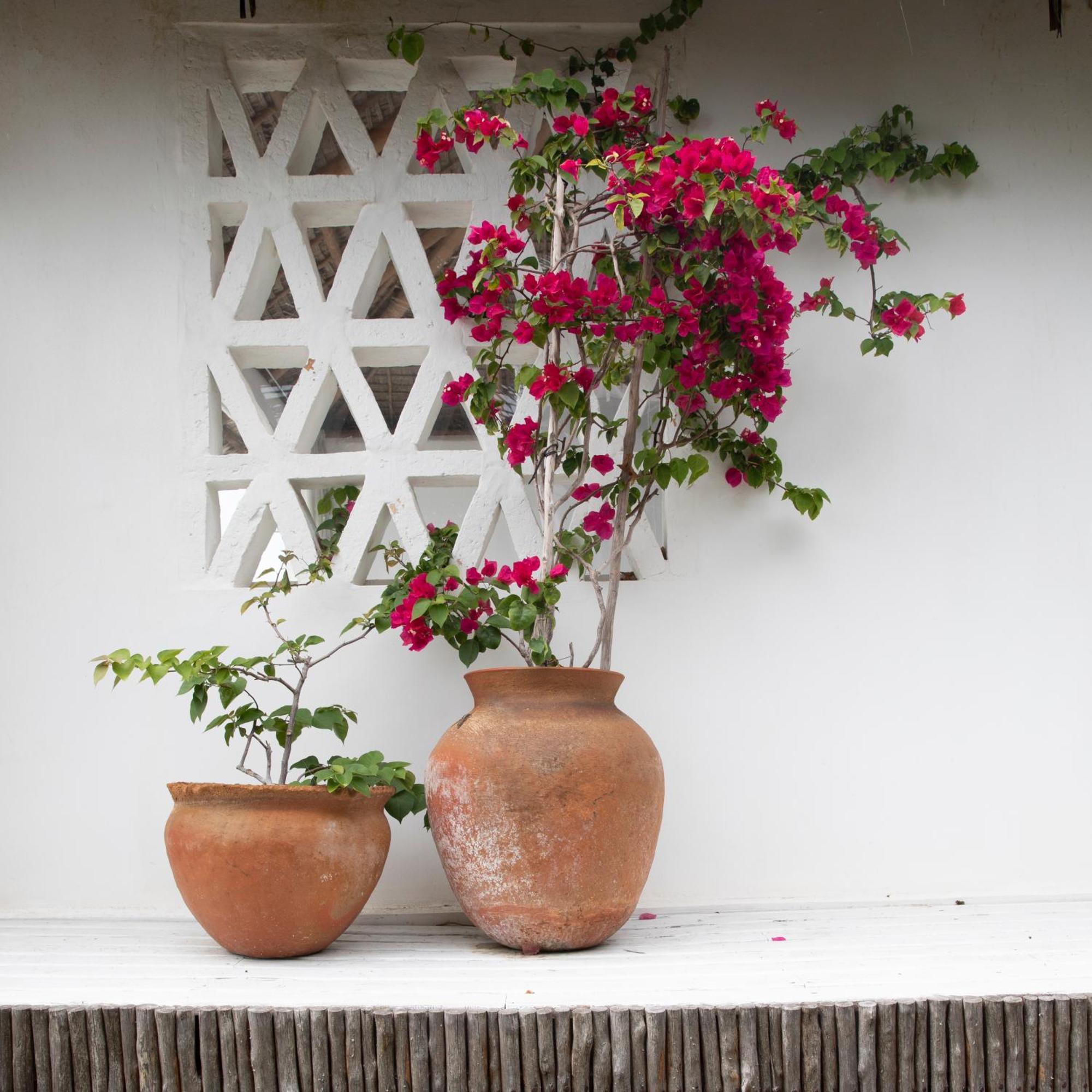 אינהמבאנה Mar-Me-Quer, Eco Beach Retreat מראה חיצוני תמונה